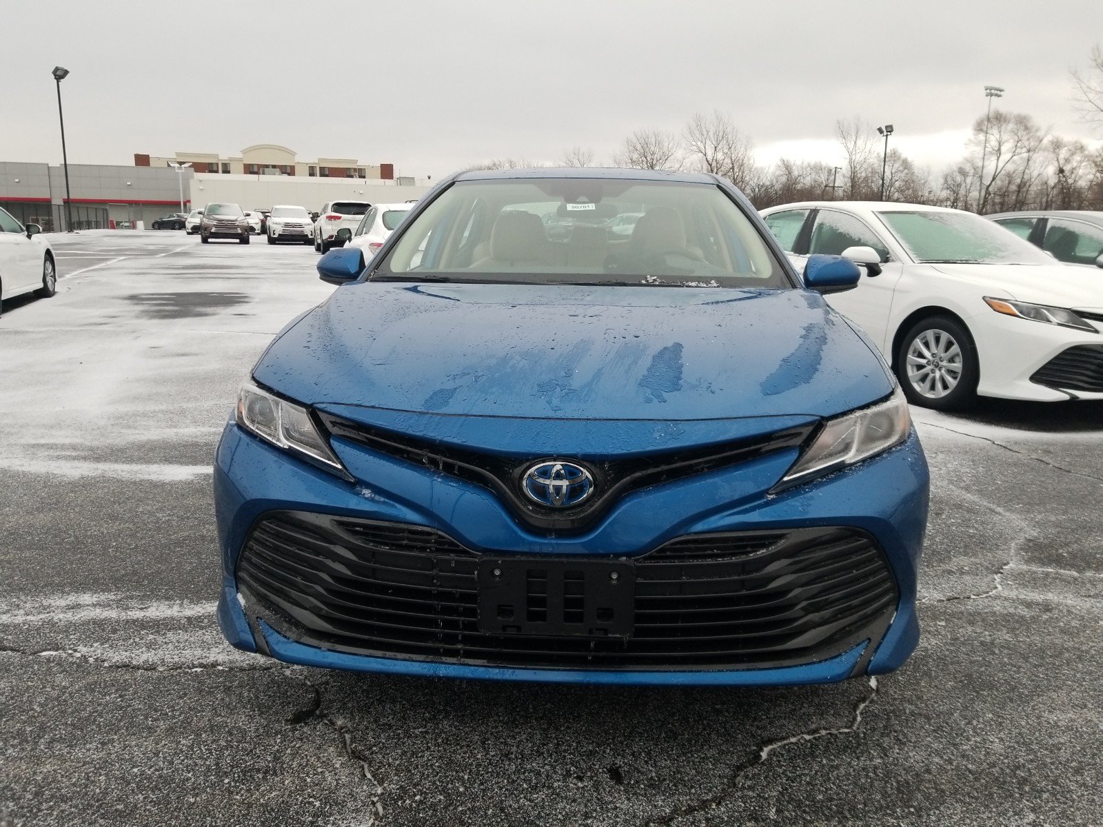 Camry hybrid 2019